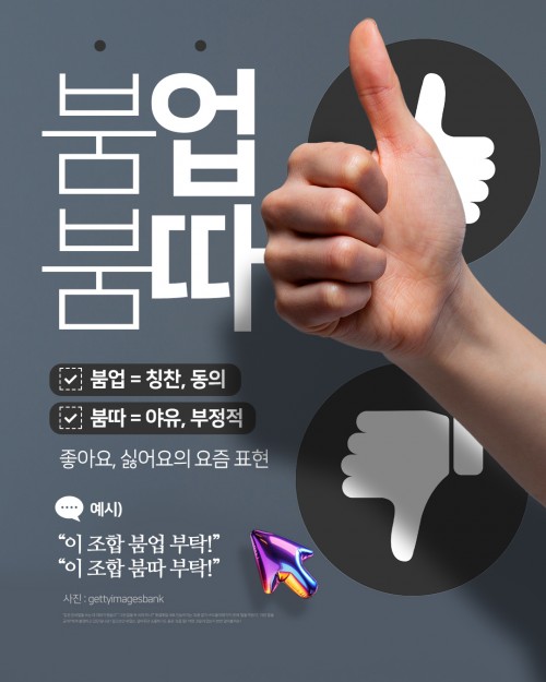 카드 뉴스 이미지
