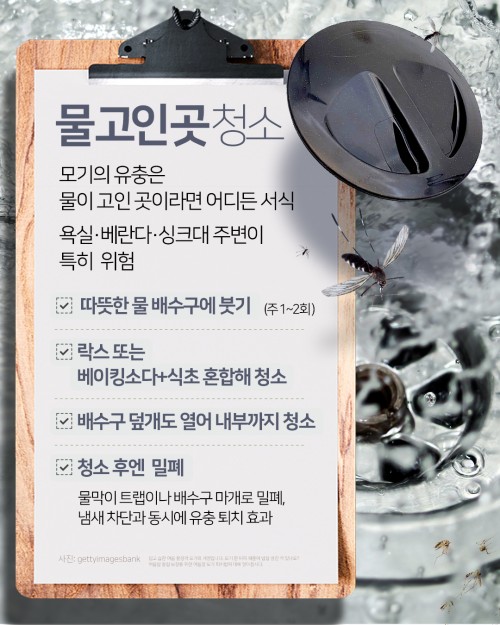 카드 뉴스 이미지