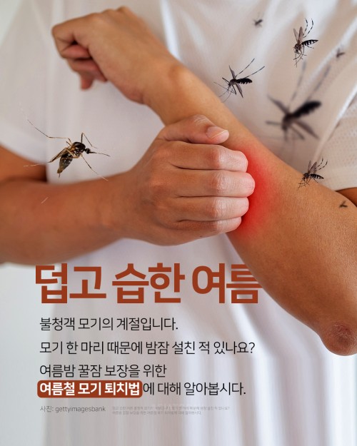 카드 뉴스 이미지
