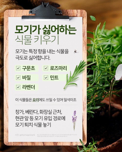카드 뉴스 이미지