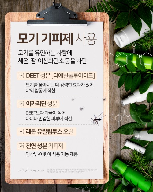 카드 뉴스 이미지
