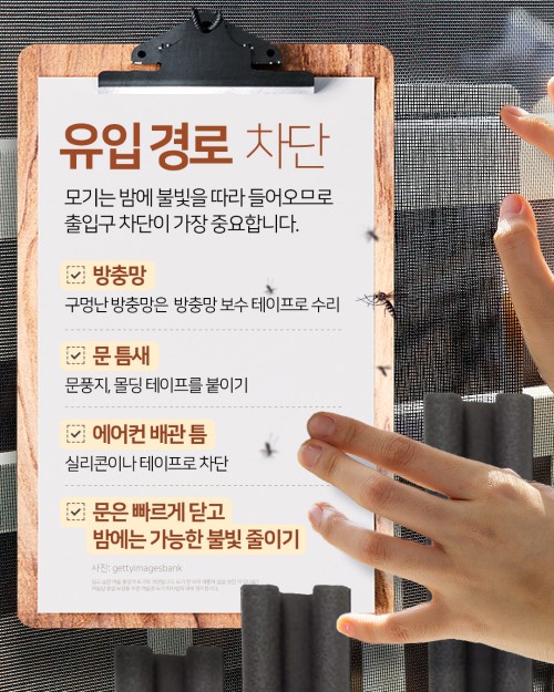 카드 뉴스 이미지