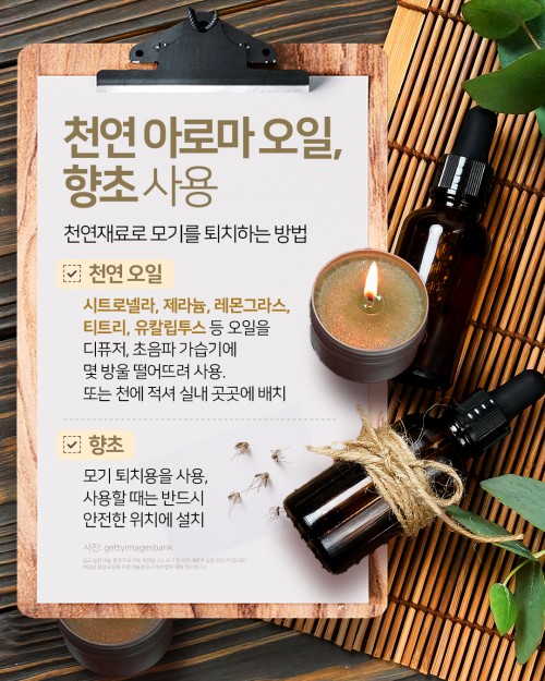 카드 뉴스 이미지