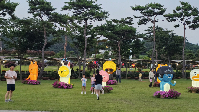 무안연꽃축제