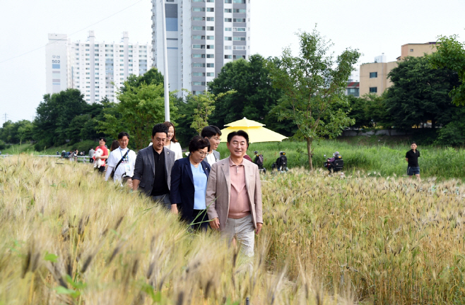 청보리길 축제 현장