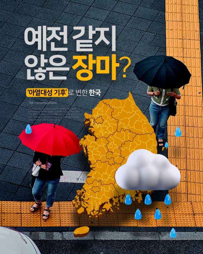 카드 뉴스 이미지