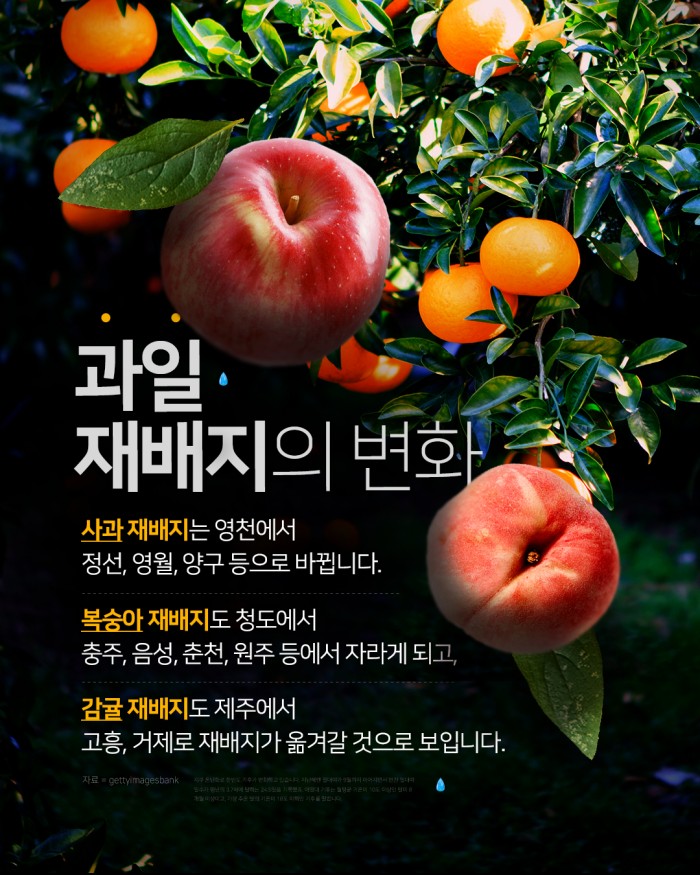 카드 뉴스 이미지