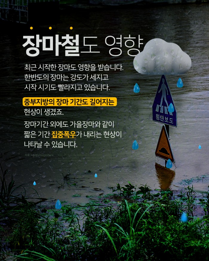 카드 뉴스 이미지