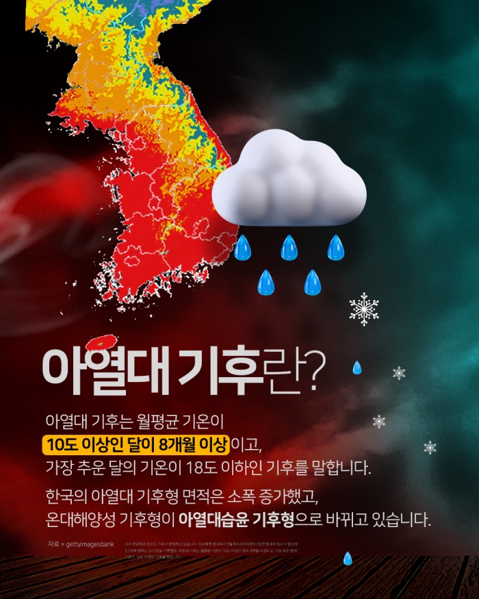 카드 뉴스 이미지