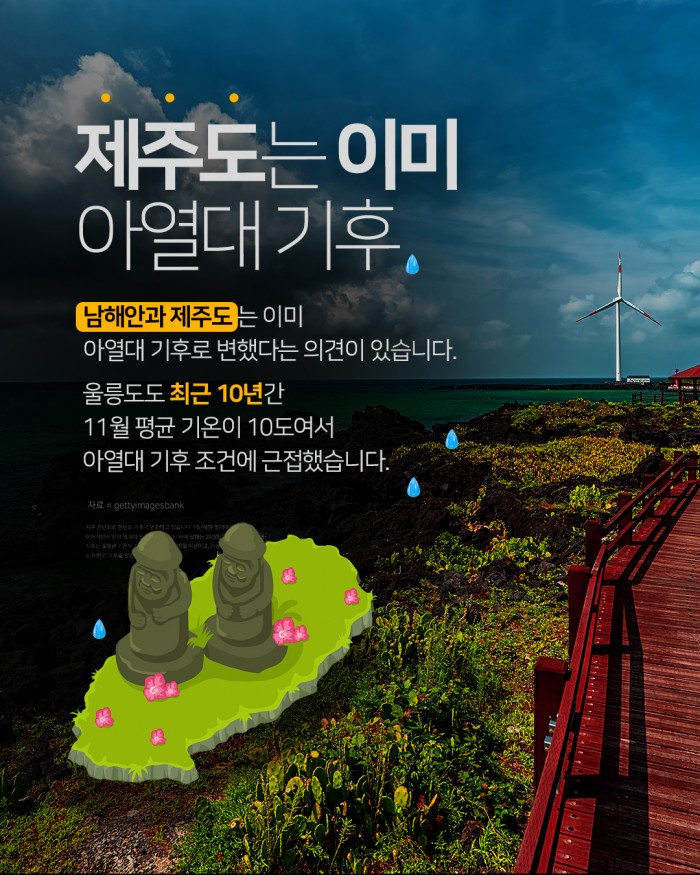 카드 뉴스 이미지