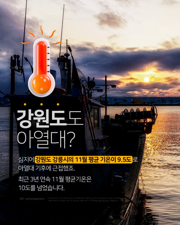 카드 뉴스 이미지