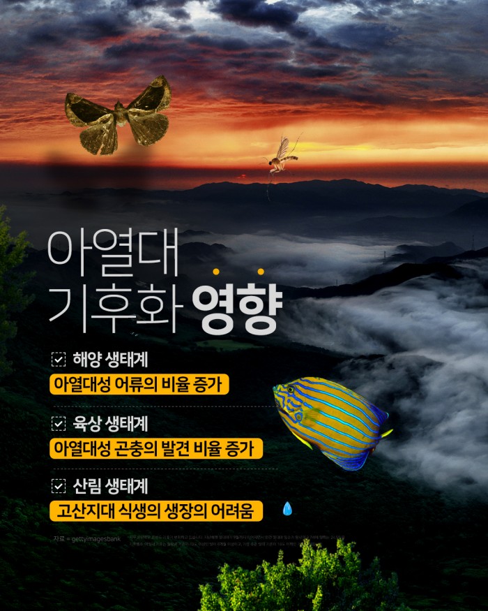 카드 뉴스 이미지