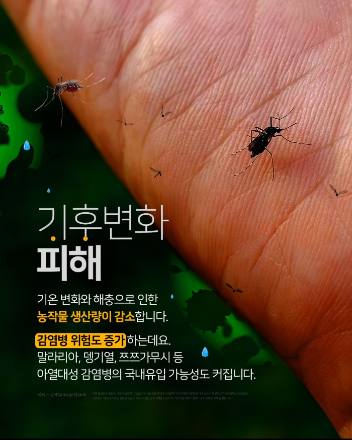 카드 뉴스 이미지