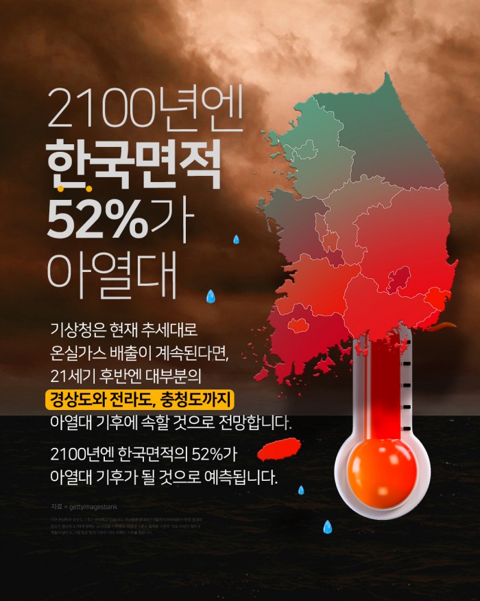 카드 뉴스 이미지