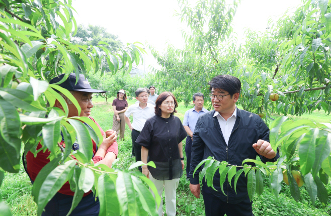 과수 탄저병 사전예방 현장점검2