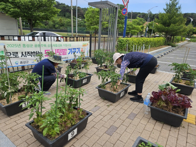 4일 (홍성군, 공동주택 공동체 문화 ‘활짝’)