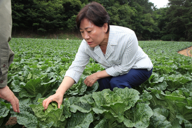 사진 2