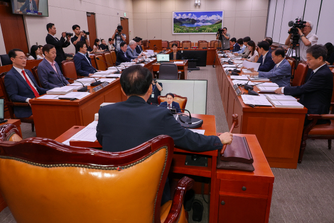 의사봉 두드리는 김석기 위원장