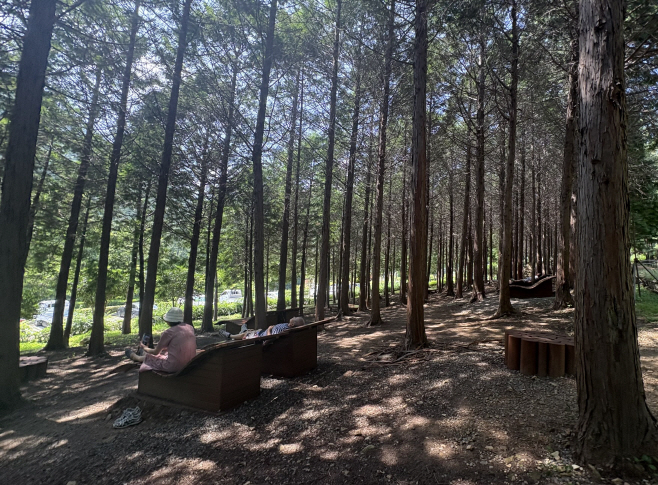 KakaoTalk_20250708_102211583