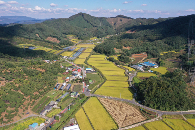 1. 청양군 대치면 형산리,