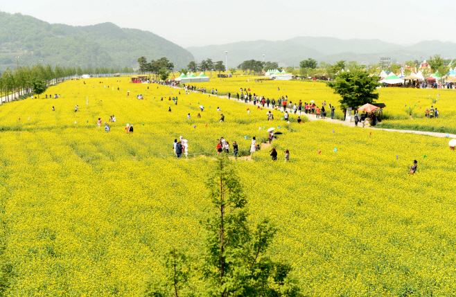 0_창녕군, 2024년 생활인구 경남 군부 1위 차지1 (1)