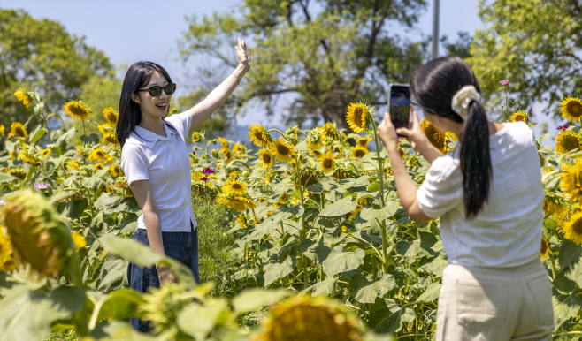 경북 칠곡에 사람과 꿀벌을 위한 1km 길이 있다?