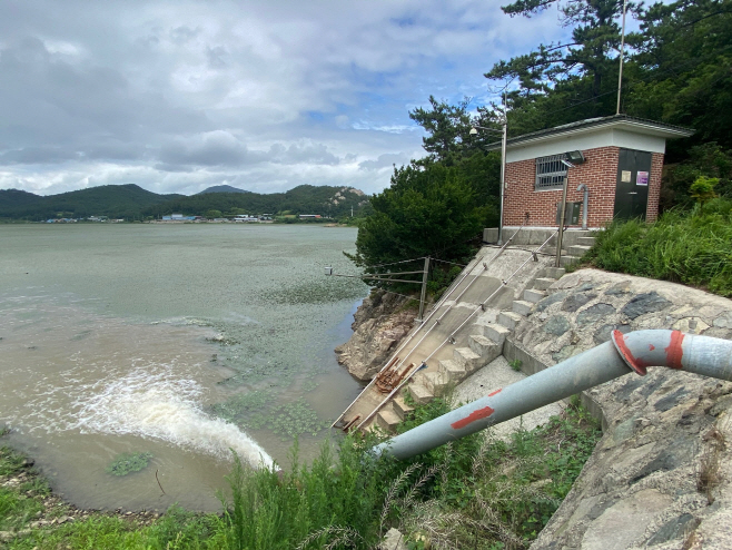 전남도