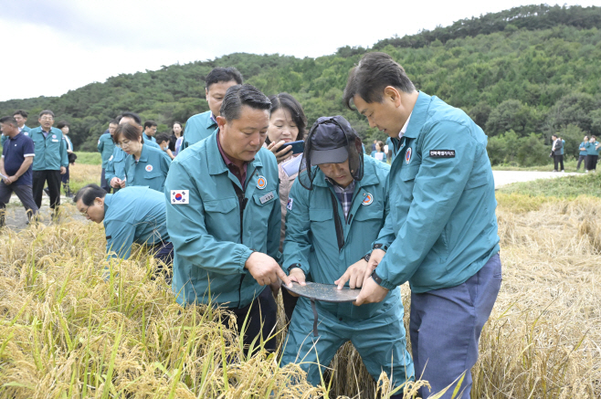 순창 0715 - 벼 병해충 선제 대응 총력(1)