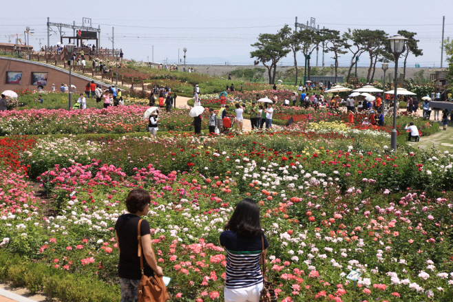 전남도