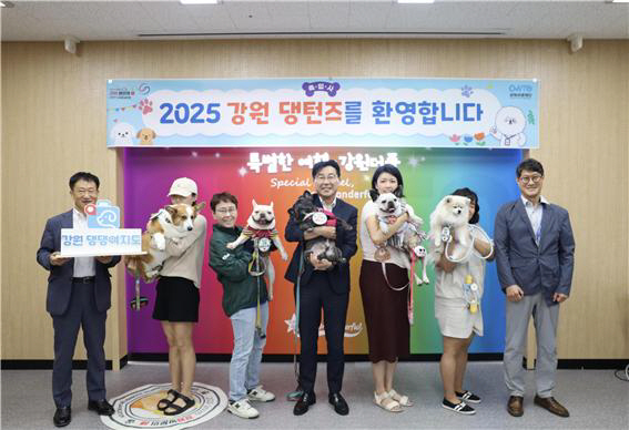 강원반려견 인턴