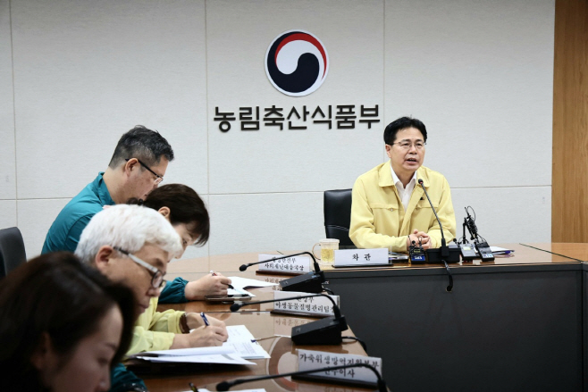 사진 3