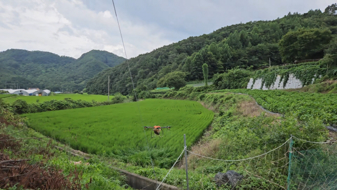 07-18 진안군, 벼멸구 확산 막는다 공동방제 실시