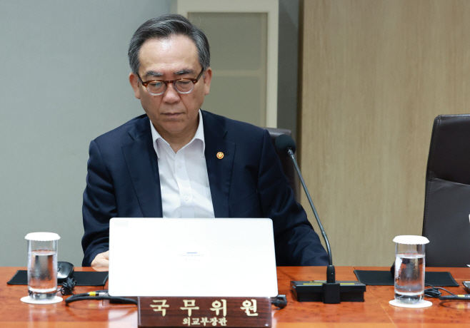 국무회의 참석한 조태열 외교부 장관