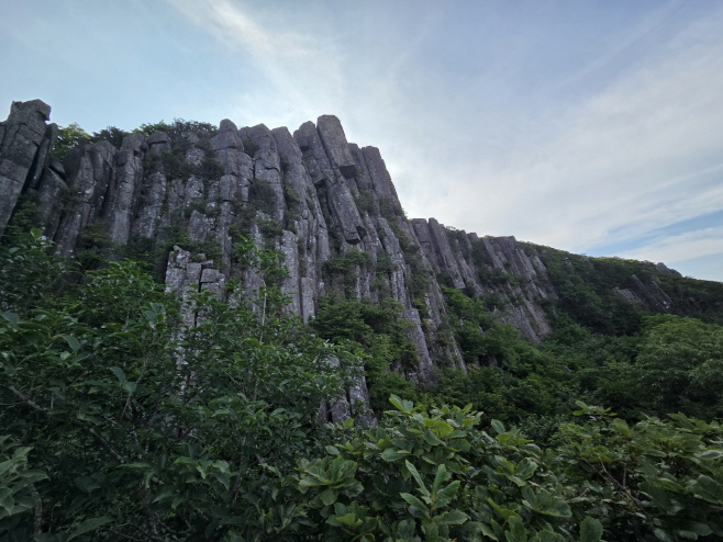 전남도