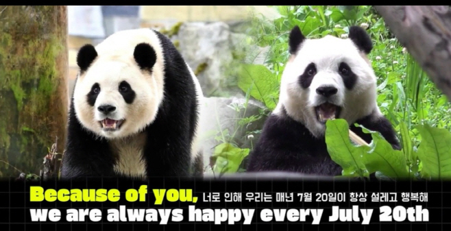 푸바오