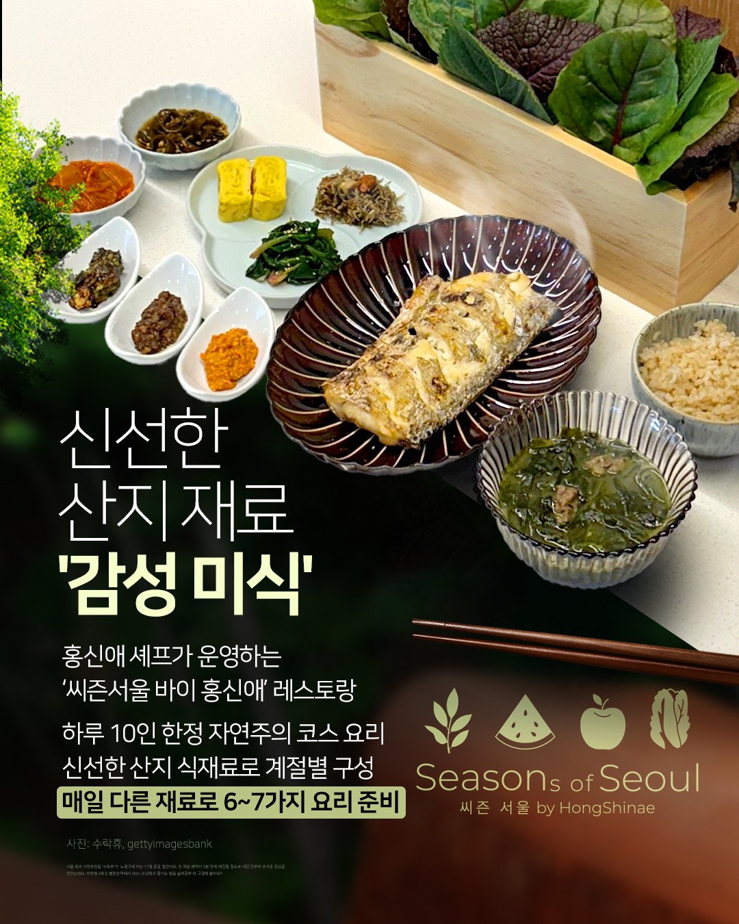 카드 뉴스 이미지