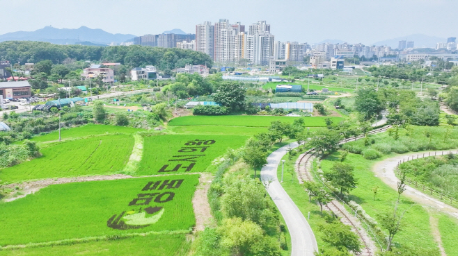 2.(사진)명품도시 의왕 벼아트(3)