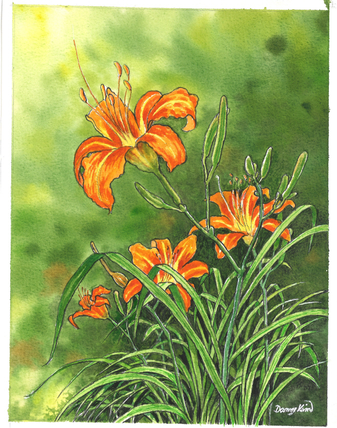 (46) 원추리 그림