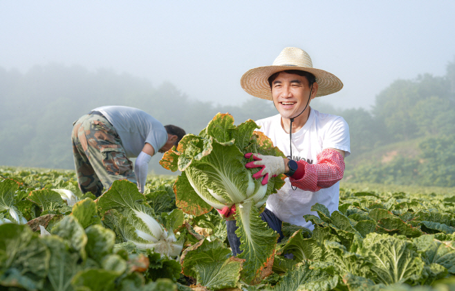 20250725 도민속으로, 고랭지배추 수확(김진태 도지사 - 평창 고랭지배추밭) (1) (1)