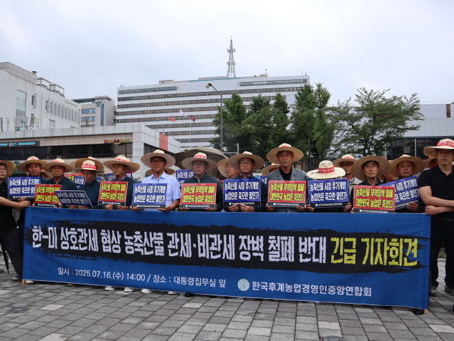 전체사진2