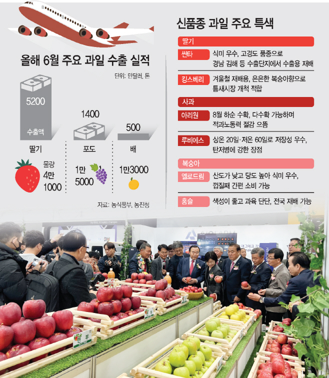 KakaoTalk_20250728_164129087