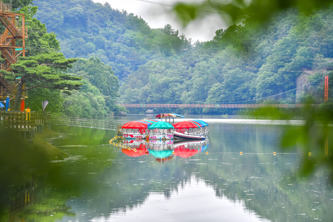 입곡 (4)