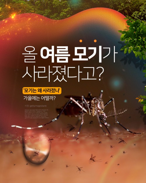 카드 뉴스 이미지
