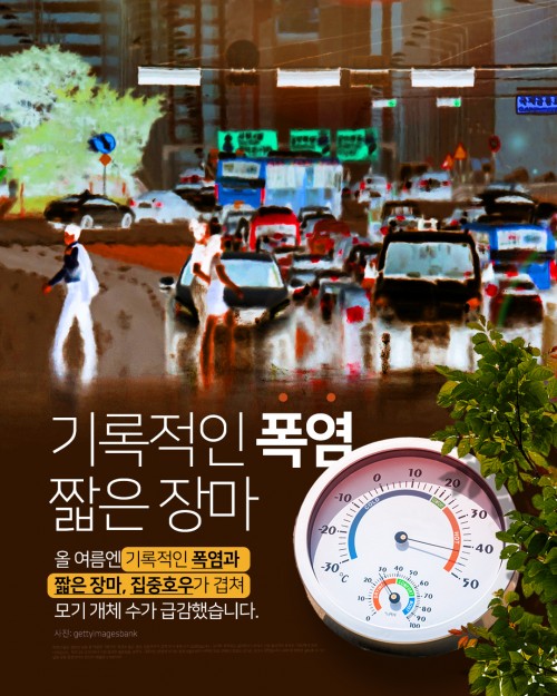 카드 뉴스 이미지