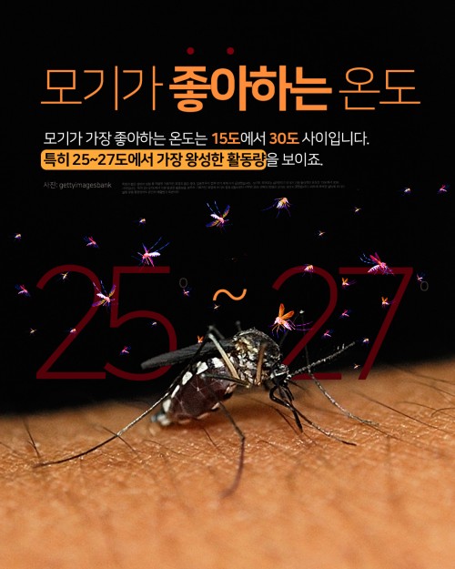 카드 뉴스 이미지