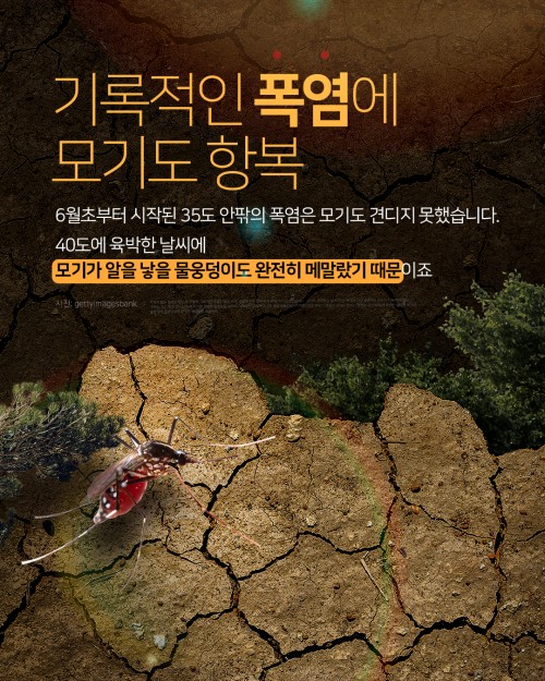 카드 뉴스 이미지