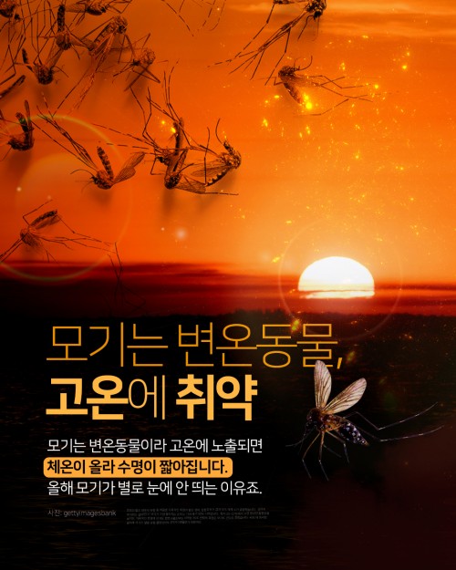 카드 뉴스 이미지