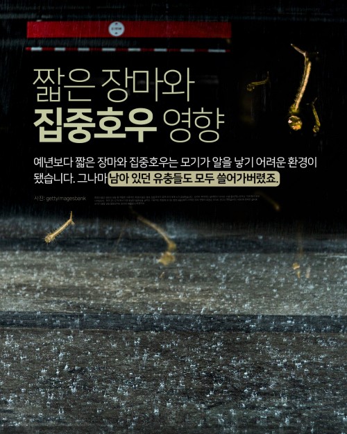 카드 뉴스 이미지