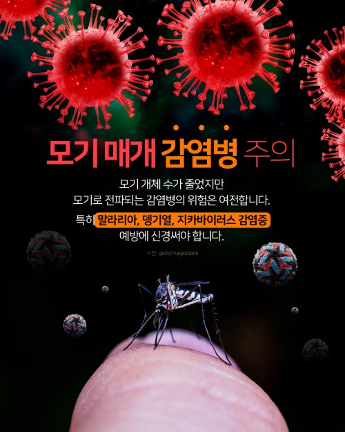 카드 뉴스 이미지