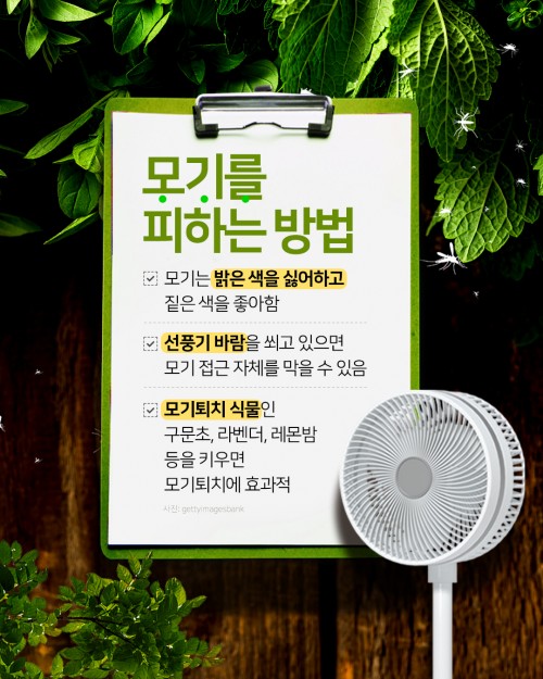 카드 뉴스 이미지